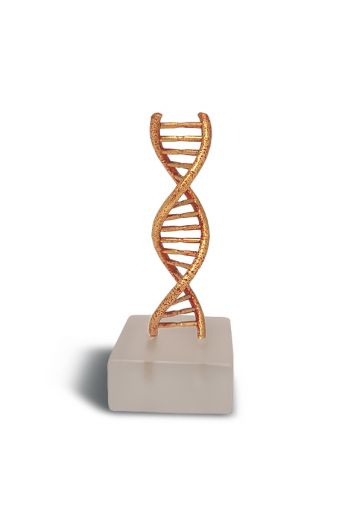 DNA ορειχάλκινο κόκκινο σε plexi glass 10x4cm  του Παναγώτη Τζαφόλια - Art shop στο diaplasibooks.gr