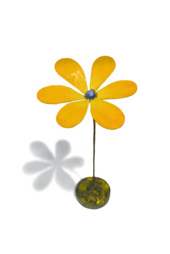 Πολύχρωμες μαργαρίτες σε διάφορα χρώματα - Art shop στο diaplasibooks.gr