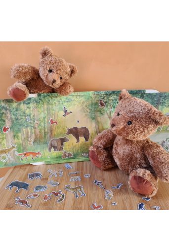 Μαγνητικό Παιχνίδι Δάσος, 25x24cm - Παιδικά παιχνίδια στο diaplasibooks.gr