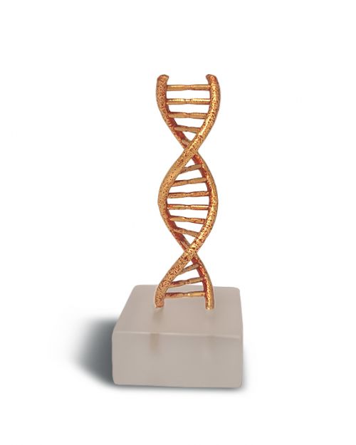 DNA ορειχάλκινο κόκκινο σε plexi glass 10x4cm  του Παναγώτη Τζαφόλια - Art shop στο diaplasibooks.gr