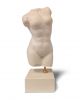 Γυναικείος κορμός, λευκό - Art shop στο diaplasibooks.gr