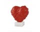 Καρδιά   Love me red medium   του Στάθη Αλεξόπουλου - Art shop στο diaplasibooks.gr